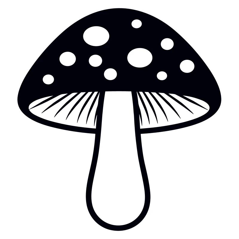 Pilz