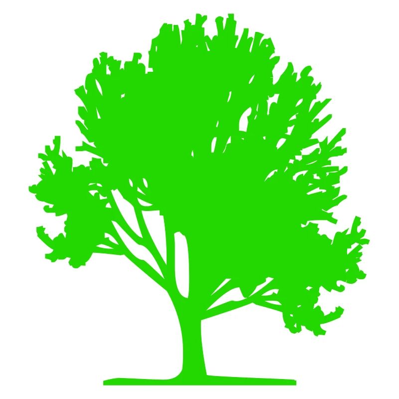 baum