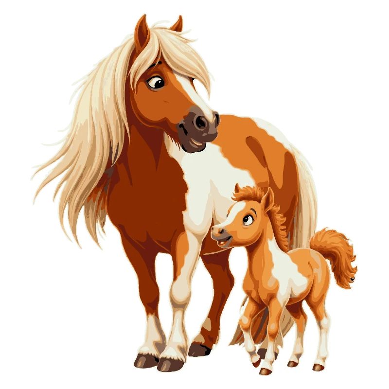 Shetlandpony mit Fohlen