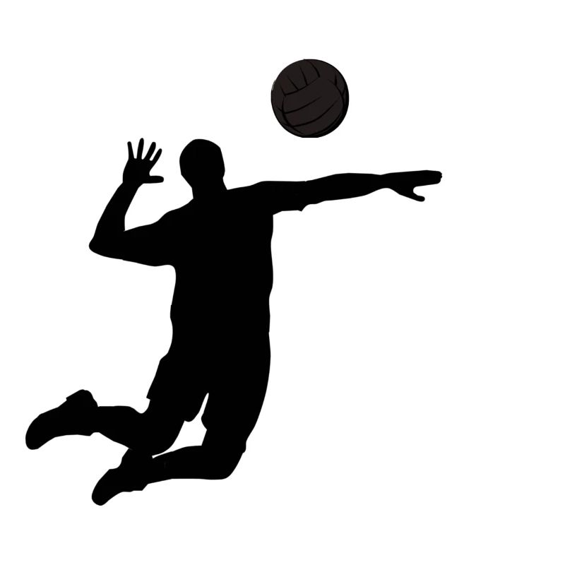 Volleyball Spieler