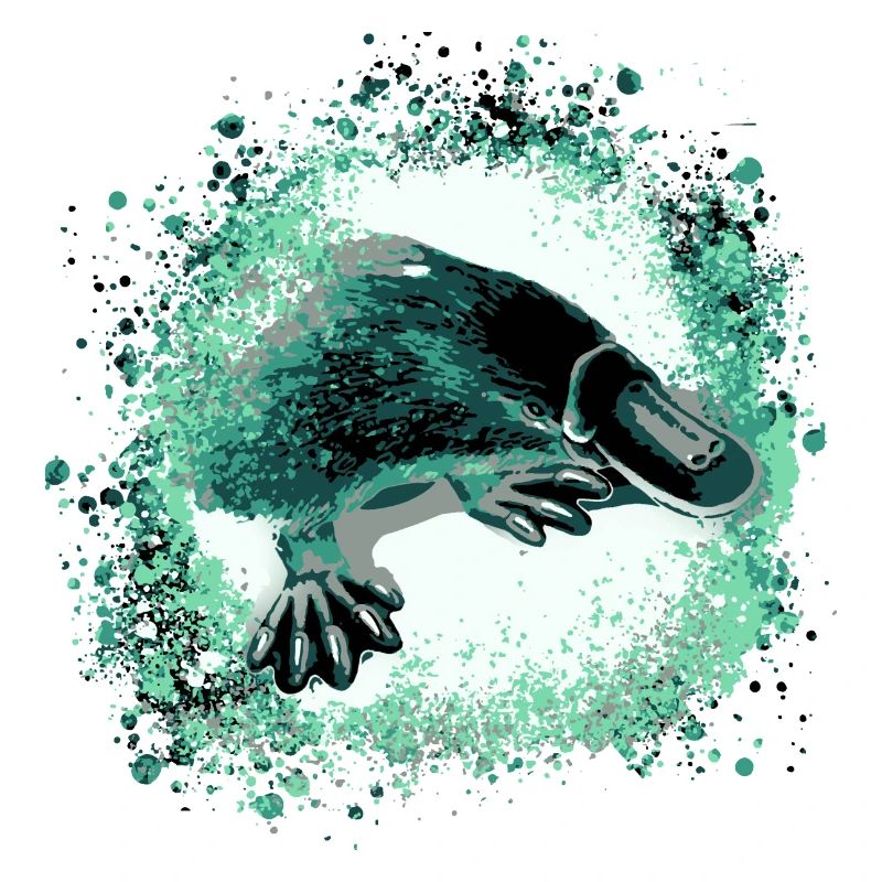 Platypus,platypus,graffiti,painting