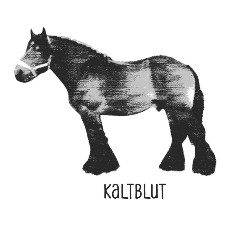 Pferd Kaltblut
