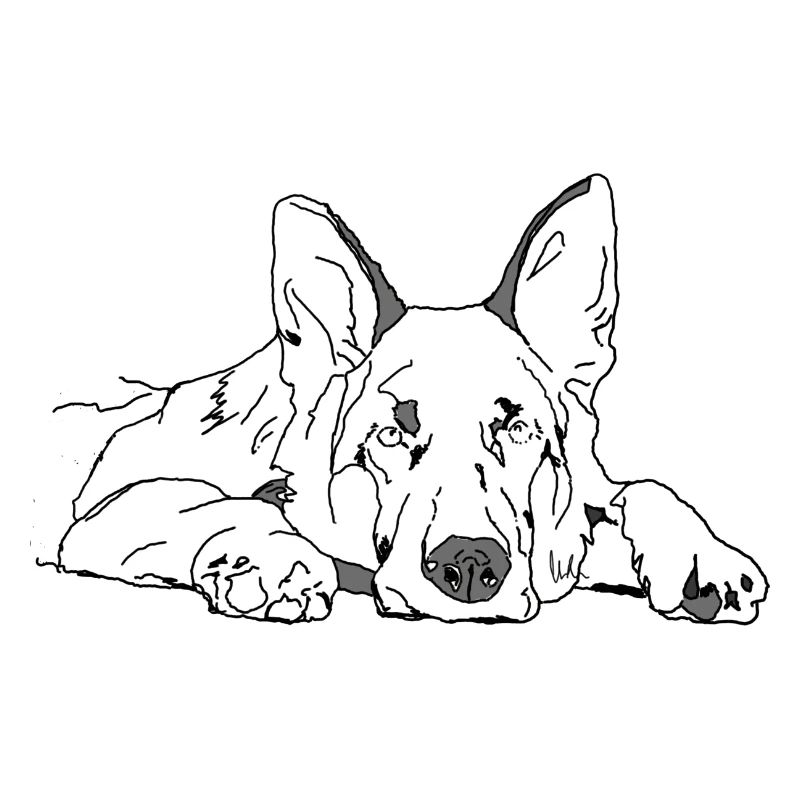 Schäferhund