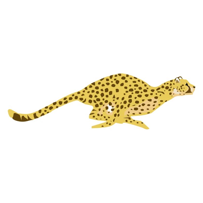 Gepard