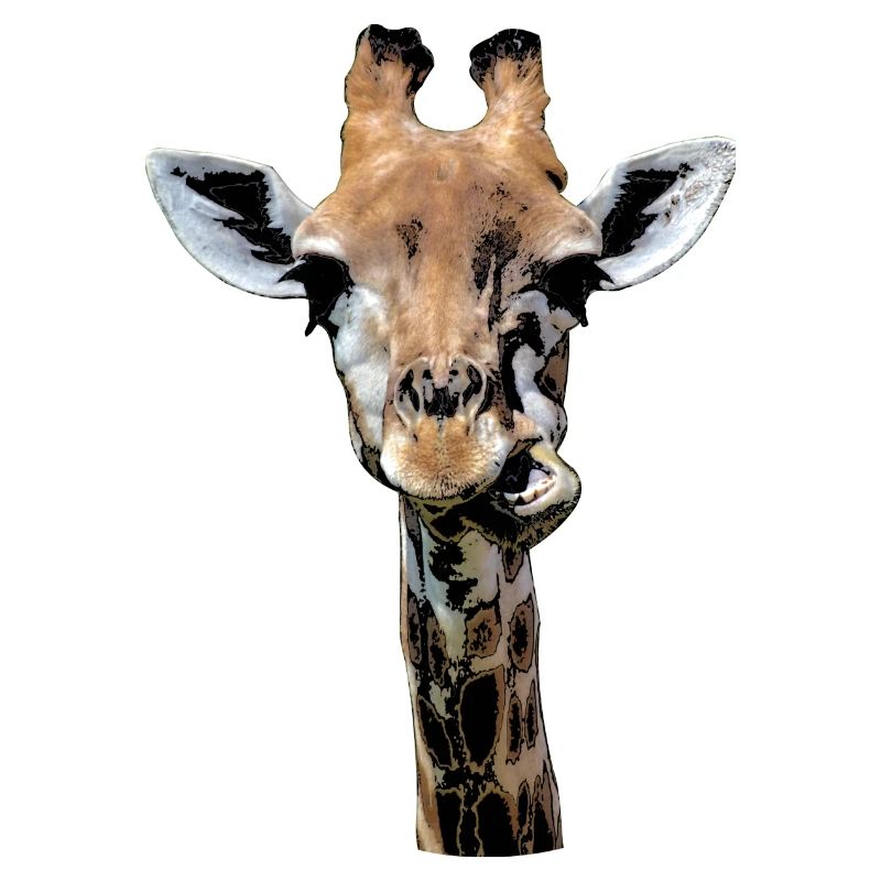 funny giraffe chewing