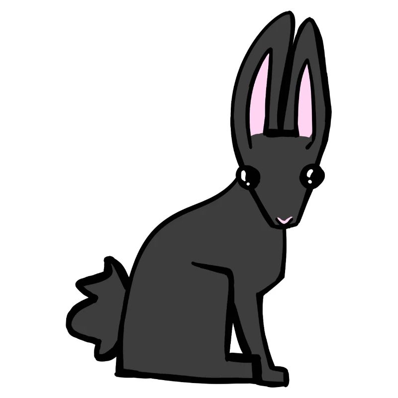 Schwarzer Hase