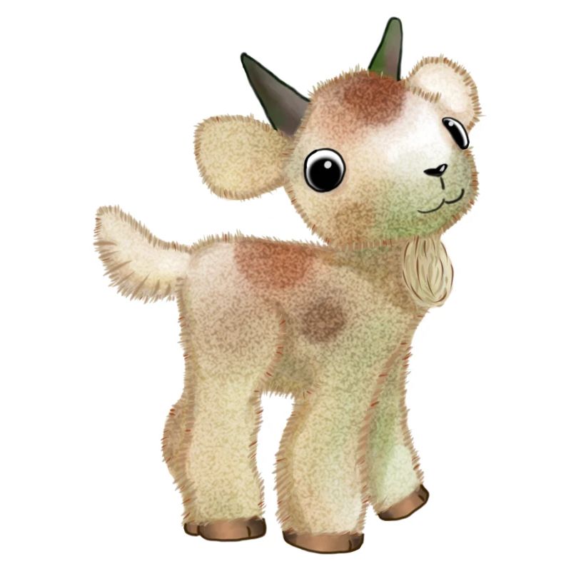 Dwarf goat