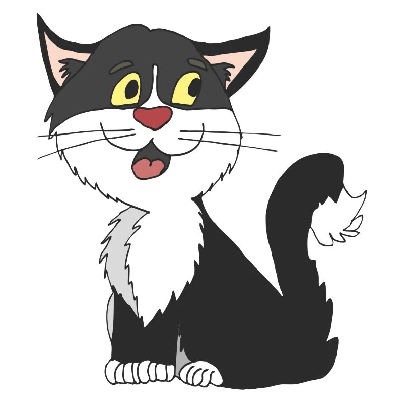 katze schwarz weiss