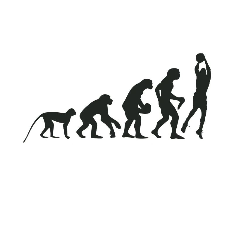 Evolution Basketball
