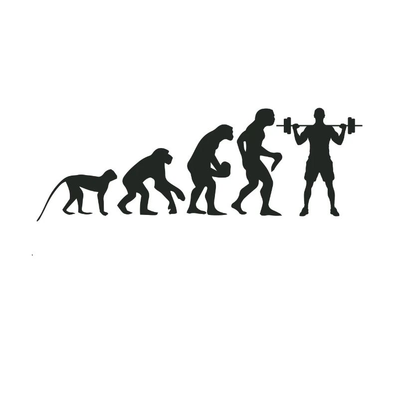 Evolution Fitness