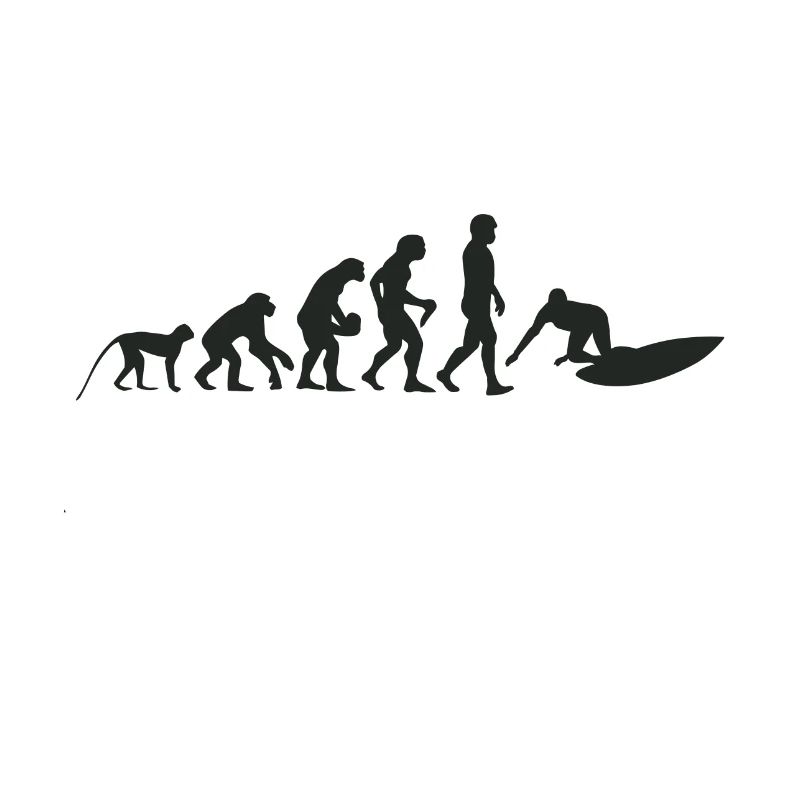 Evolution de surf