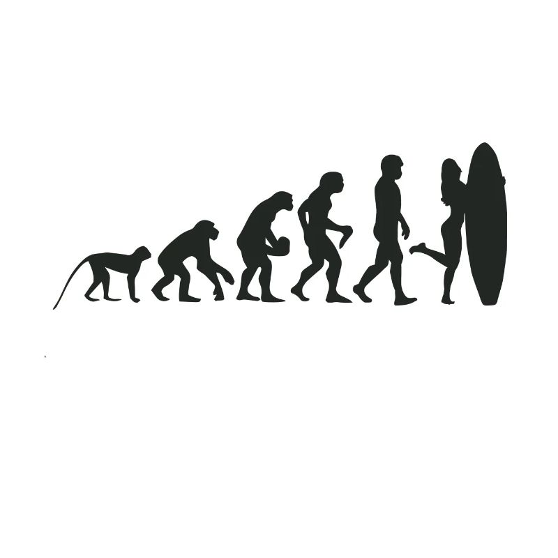 Evolution Surf