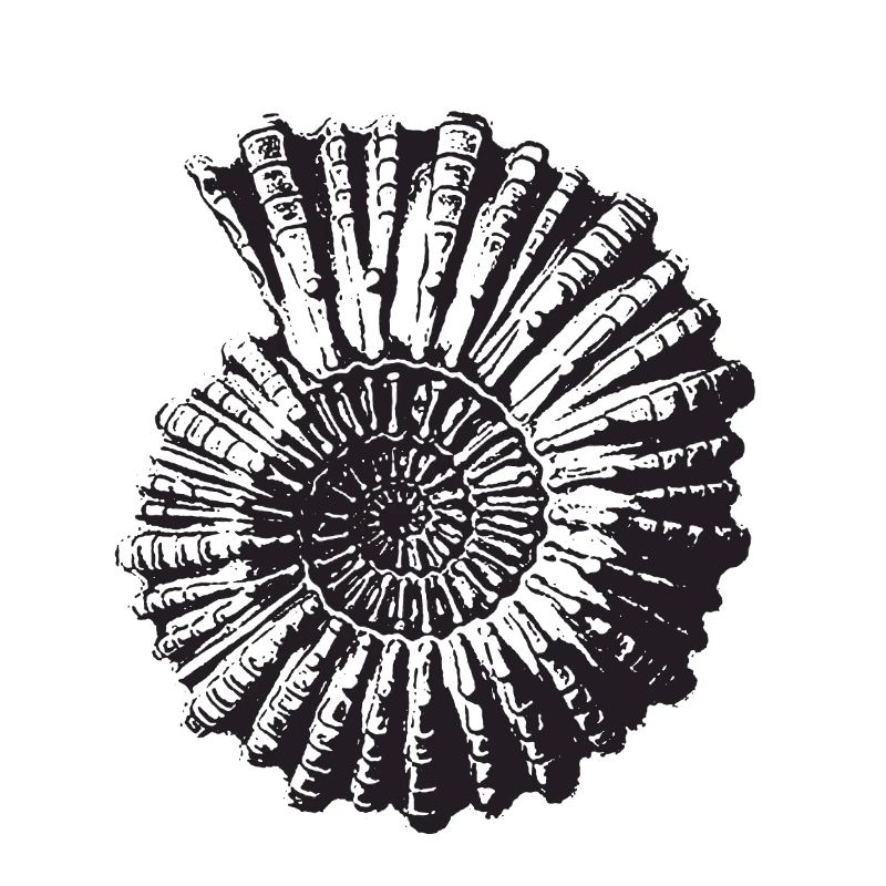 Stein Schnecke Retro