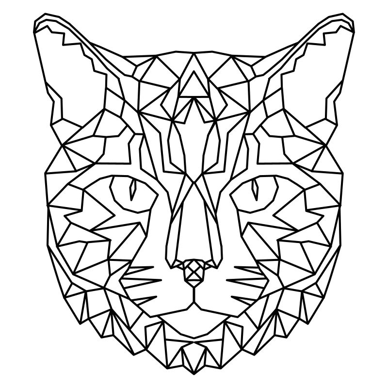 Katze Geometric