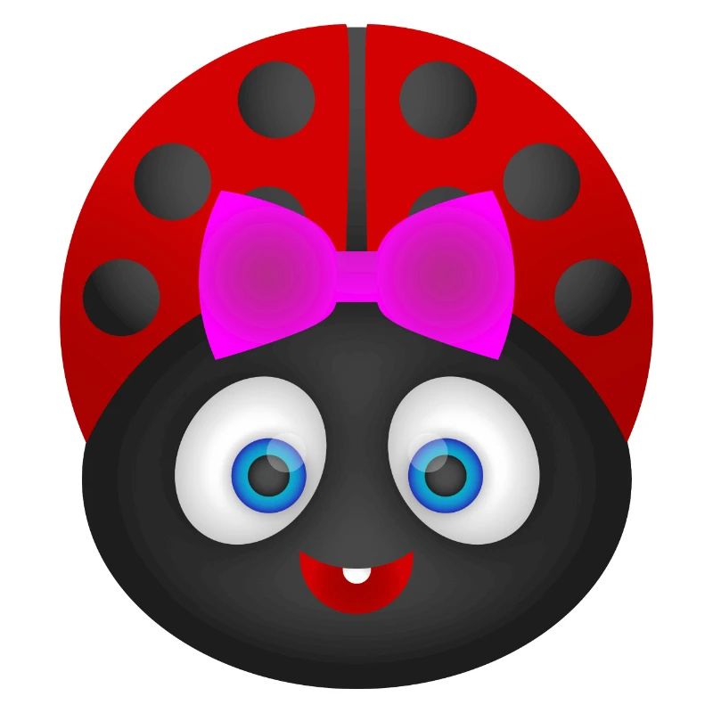 Ladybug - Ladybug! Gift idea!