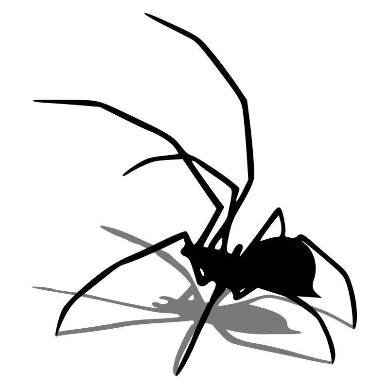 spinne spider