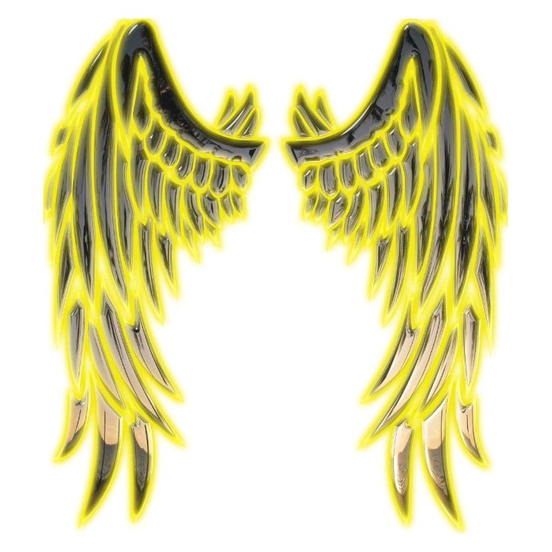 Angel sun wings
