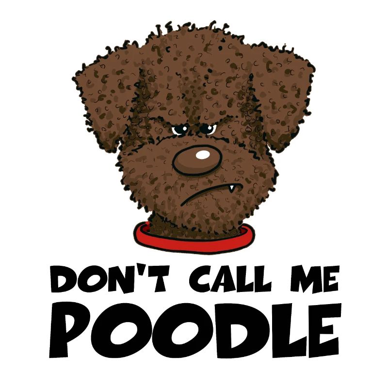 Poodle1 2