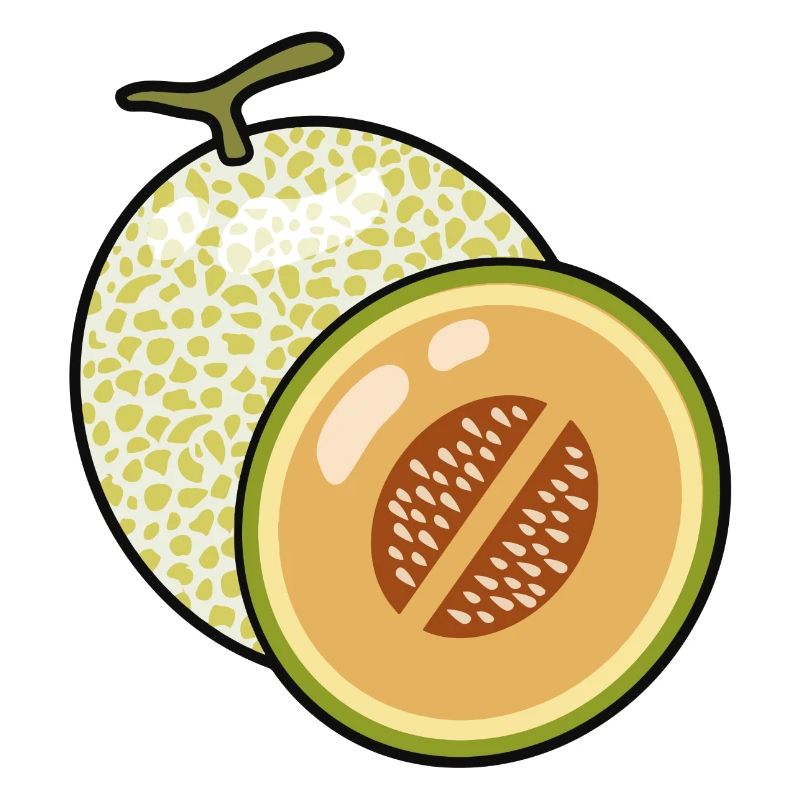 Cantaloupe Melone
