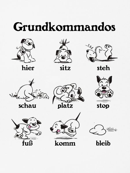 Kommandos1 2