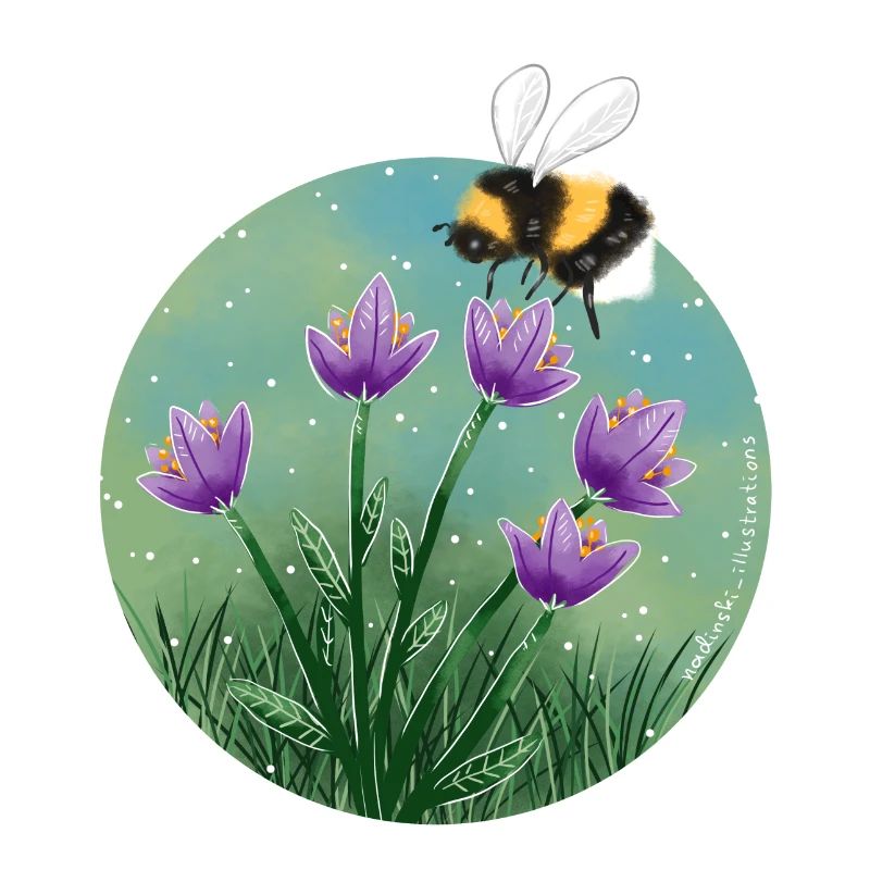 Biene und Blumen