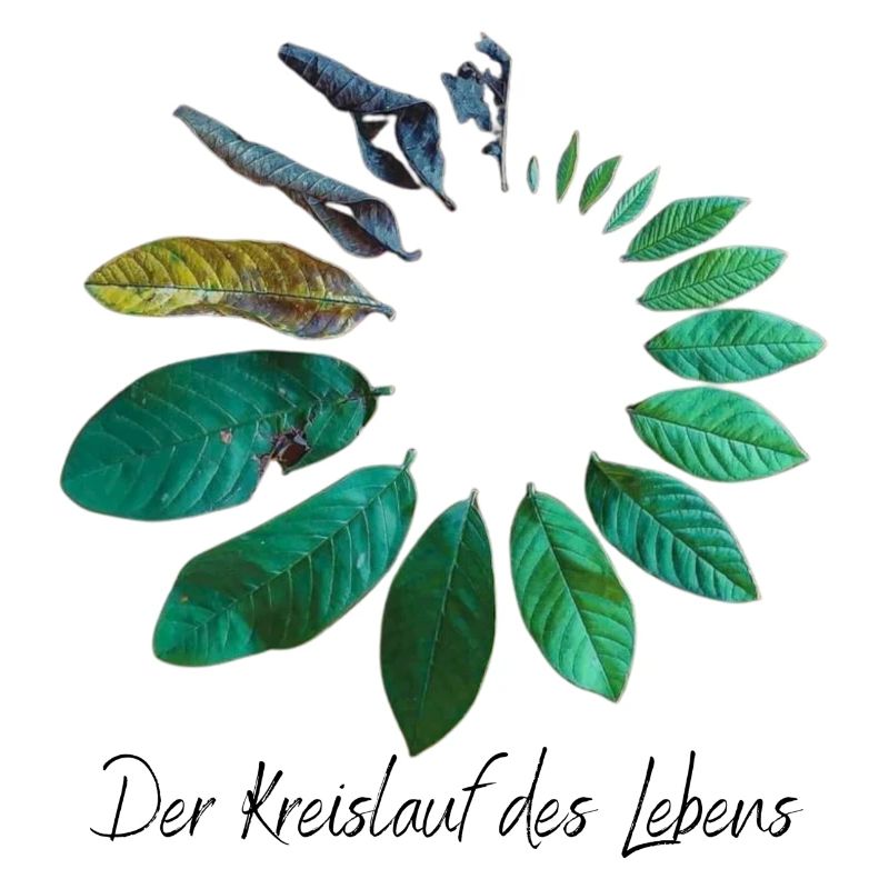 Leben