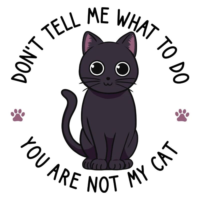 süße schwarze Katze