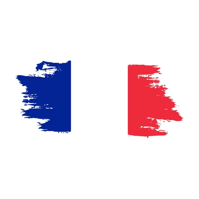 France Flag