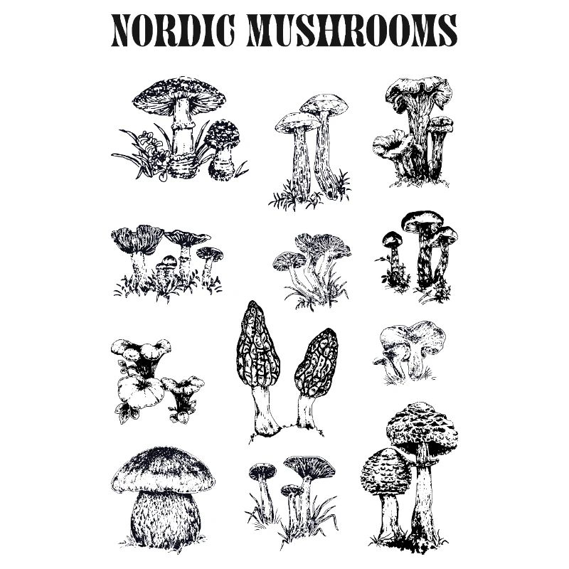 NORDISCHE PILZE