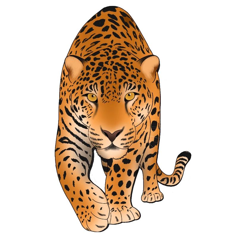 Leopard Raubkatze