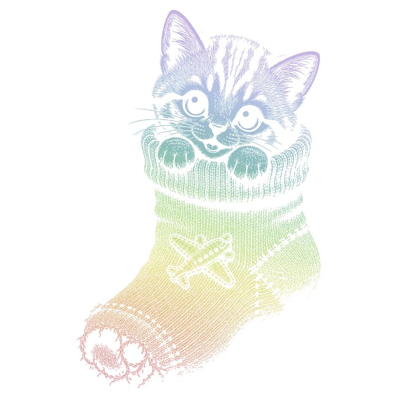 Kitten