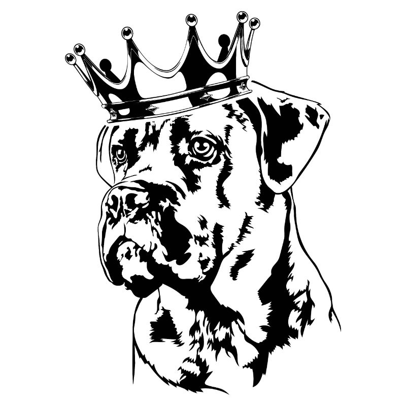Cane Corso Krone Hund Hunde Wilsigns