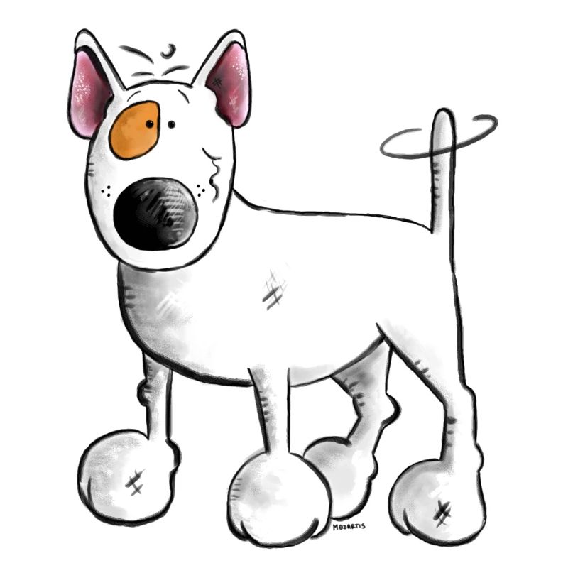 Bullterrier- Bull Terrier - Hund