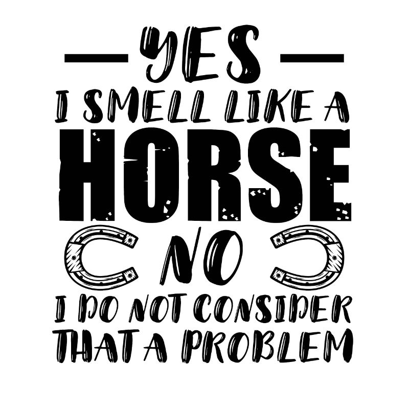 pferde horses