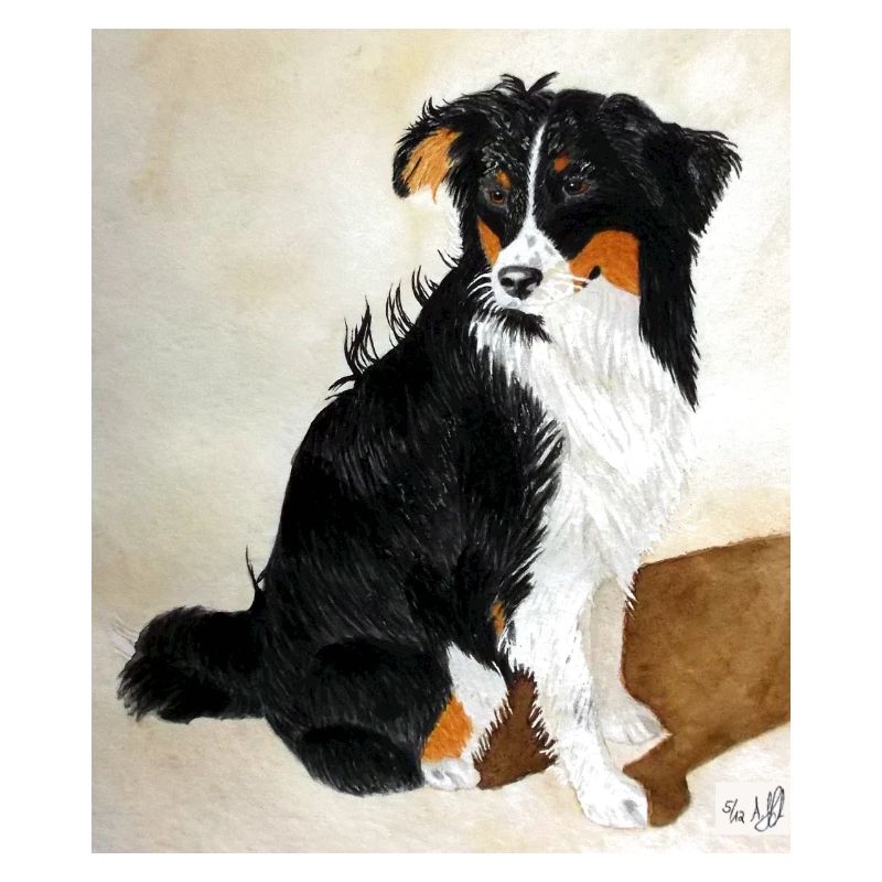 Sitzender Aussie Nanouk