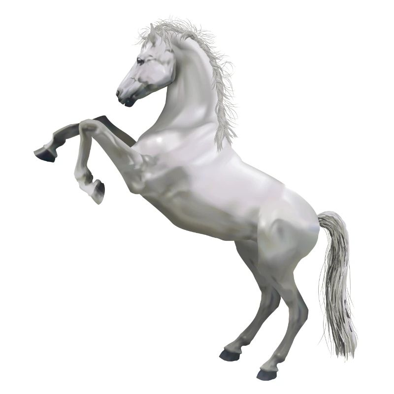 Pferd