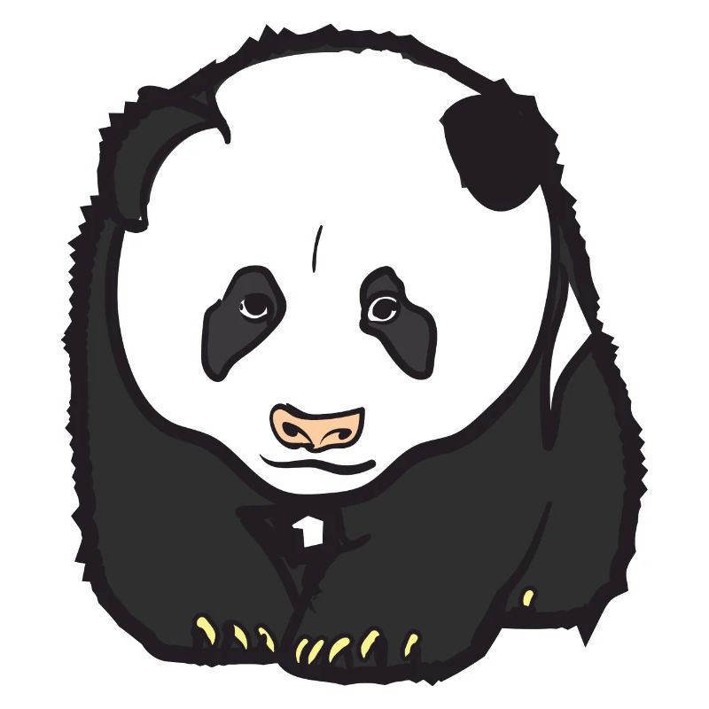 Panda Bär