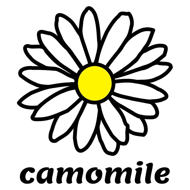 camomile