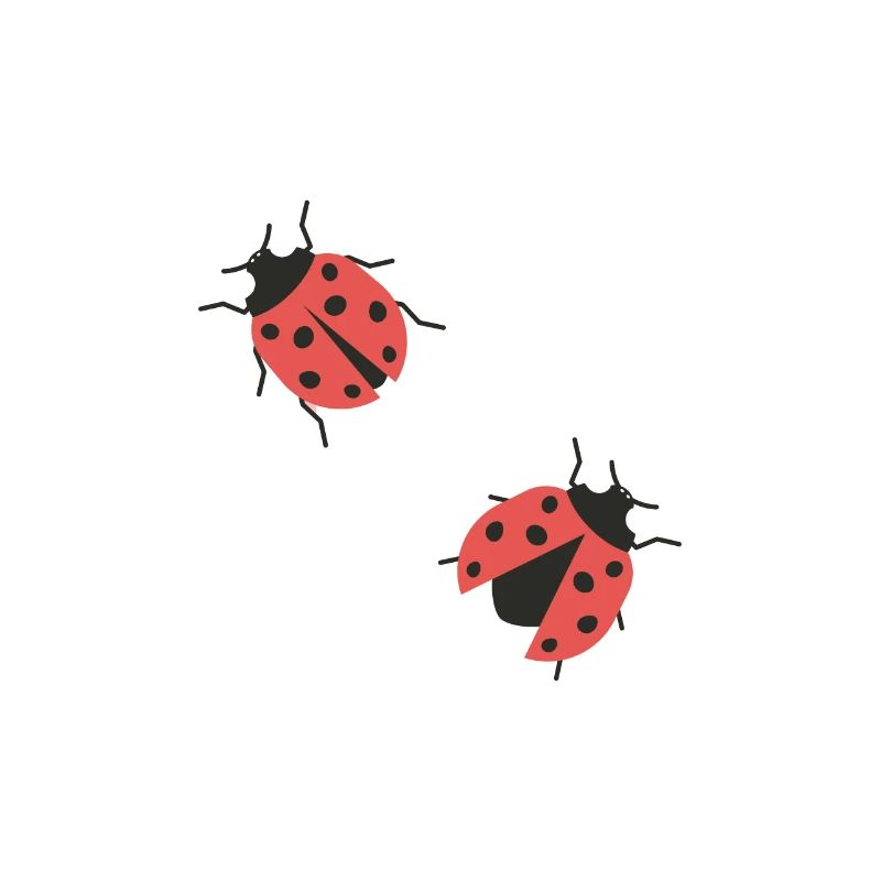 Marienkäfer