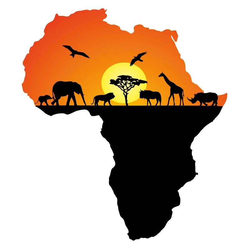 Afrika, Safari Tierwelt