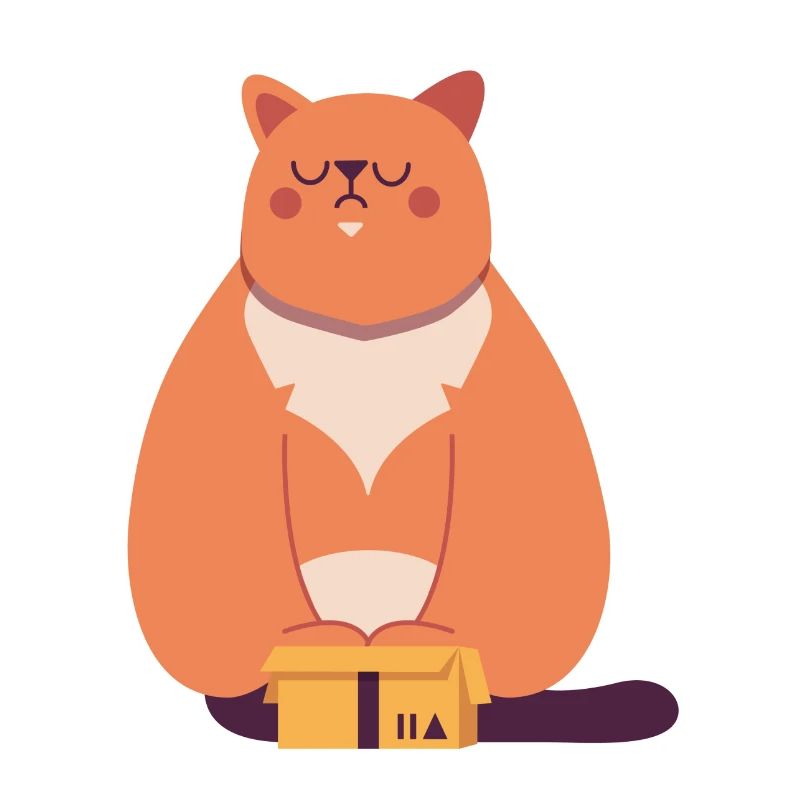 Cat in box
