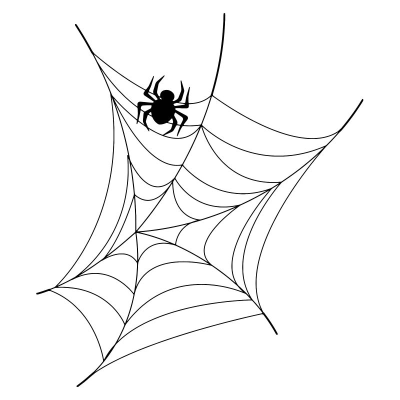 Webspinne