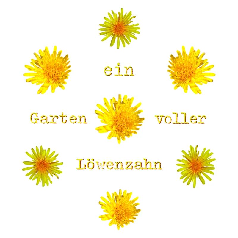 Löwenzahn Garten