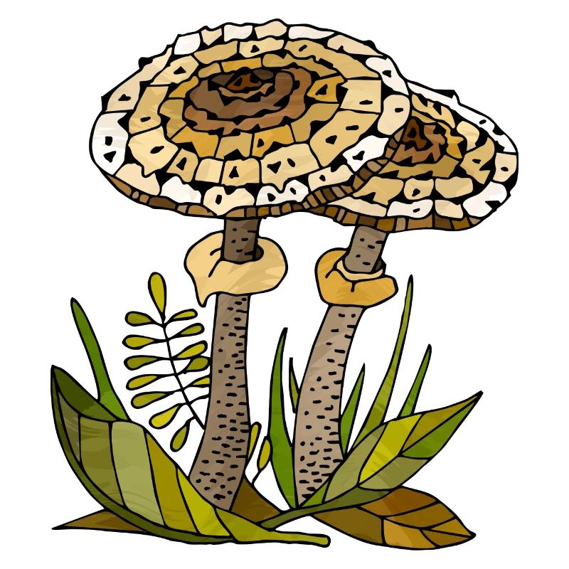 Fungi