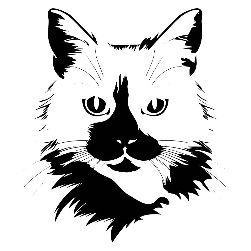 Katze, Katzenmotiv, Katzengesicht