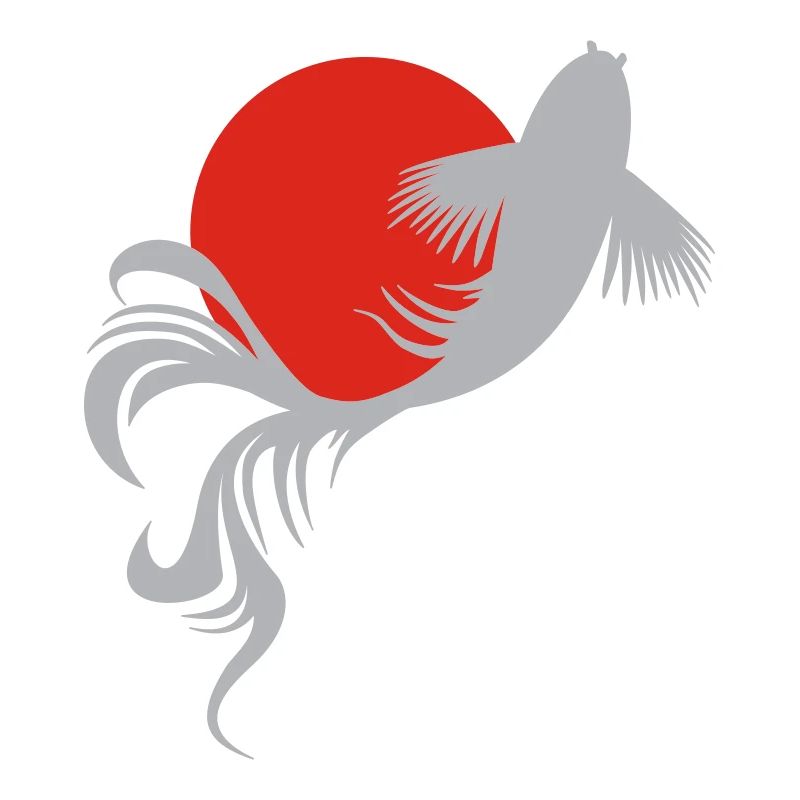 Roi der Koi-Karpfen