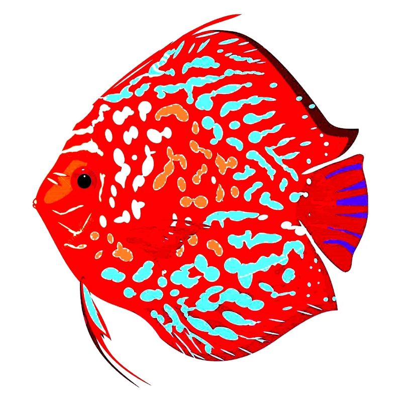 Fisch