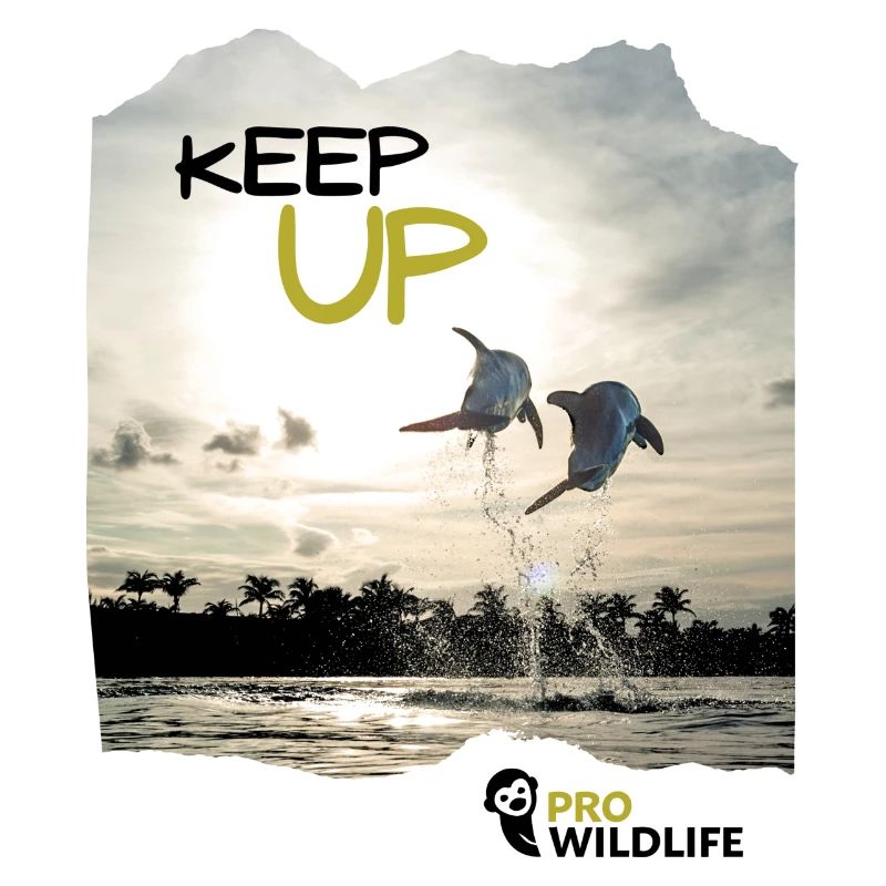 KEEP UP - Delfine