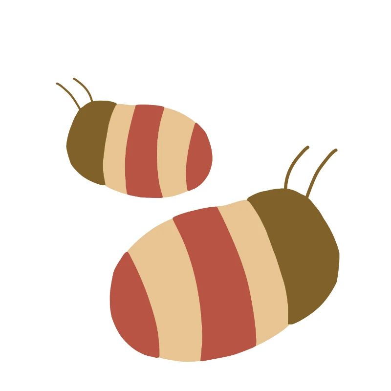 Hummeln Insekten Bunt