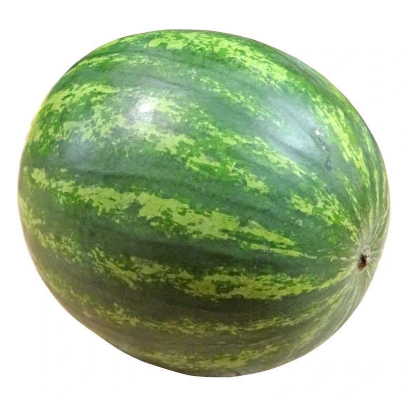 veggie pastèque pastèque melon melon gemues